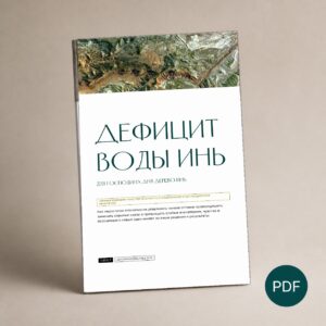 Дефицит Воды Инь для Господина дня Дерево Инь