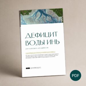 Дефицит Воды Инь для Господина дня Дерево Ян