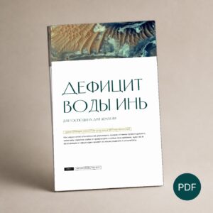 Дефицит Воды Инь для Господина дня Земля Ян